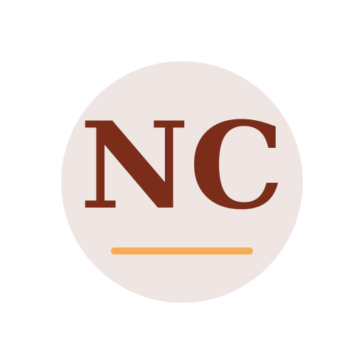 Noto Chimney Repair logo